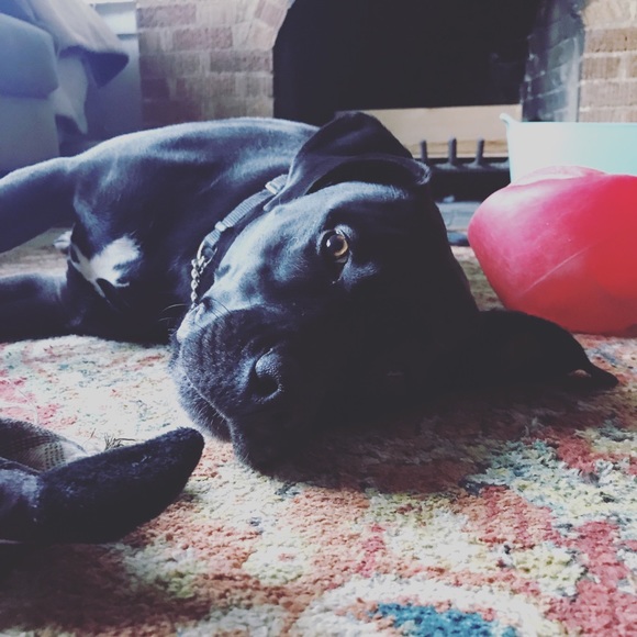 New Items Thursday! ♻️ Eco Conscious Shipper! ♻️ - Picture 5 of 7